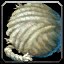 Fine Thread