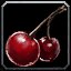 Hyjal Berries